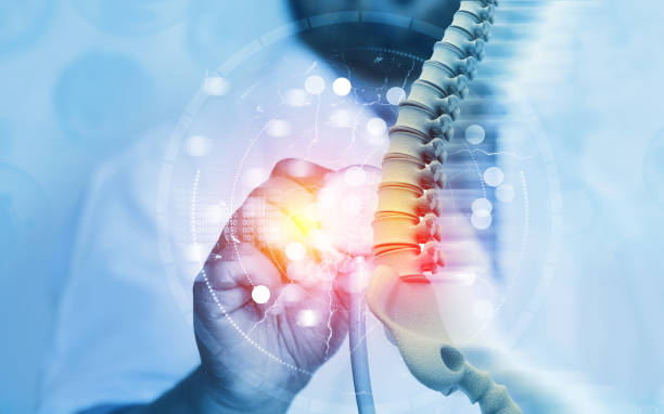 Instructional Course in Spine, Rishikesh